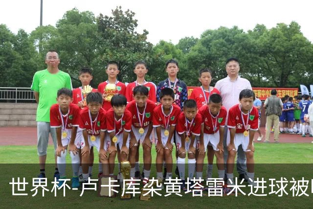 世界杯-卢卡库染黄塔雷米进球被吹 比利时半场0-0伊朗
